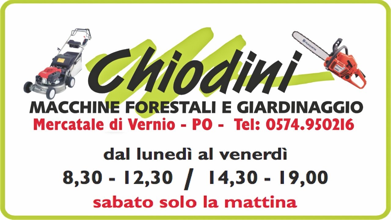 Logo o immagine di Chiodini